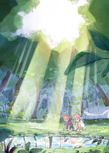 Страна Номо